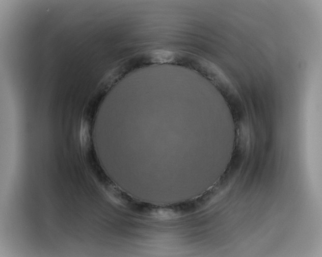 X0000113780598200910141040