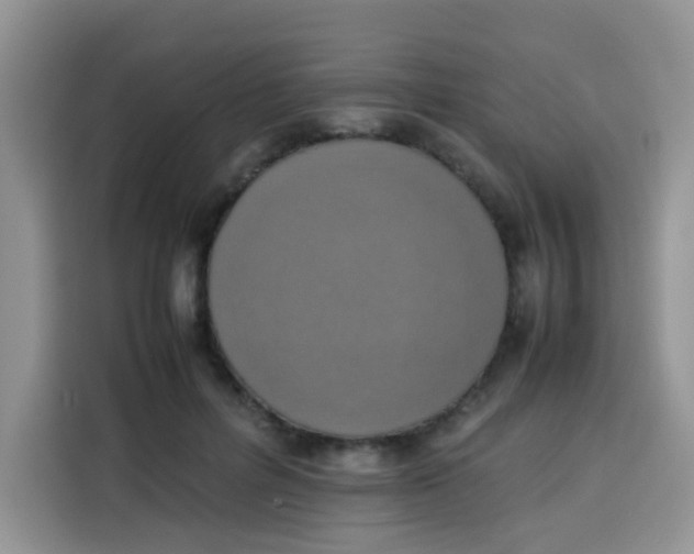 X0000113780600200910141040