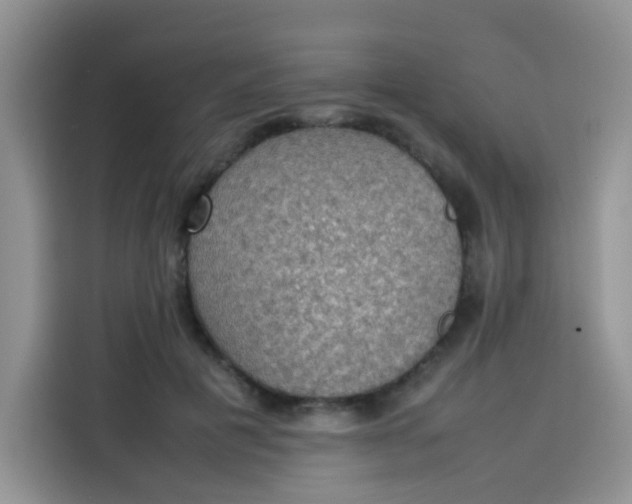 X0000113780601200910141040