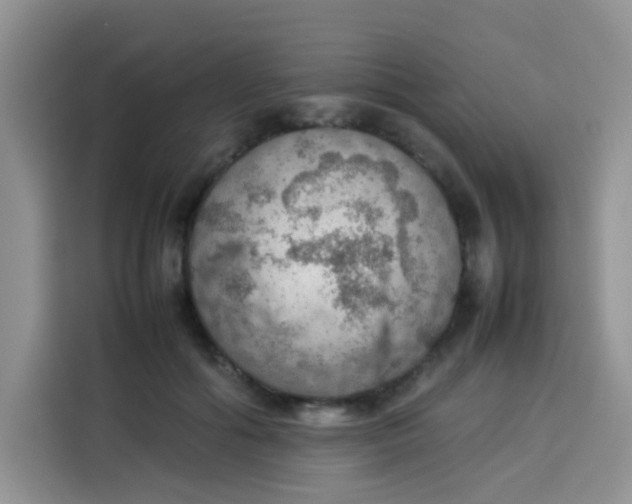 X0000113780602200910141040