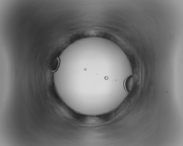 X0000113780605200910141040