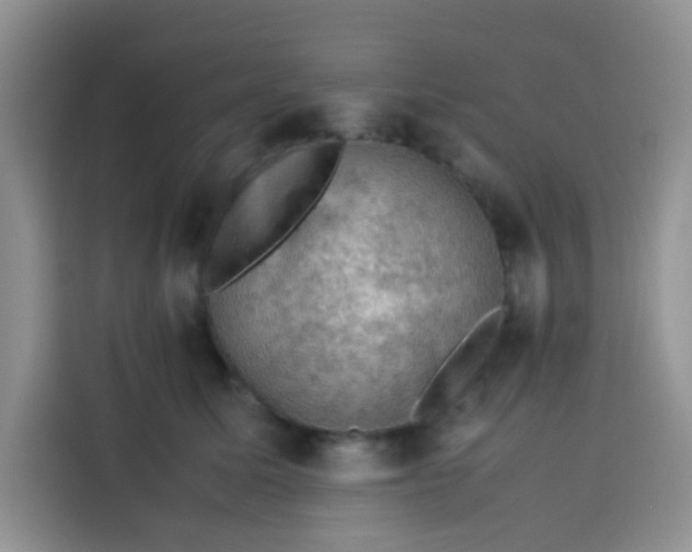 X0000113780611200910141040