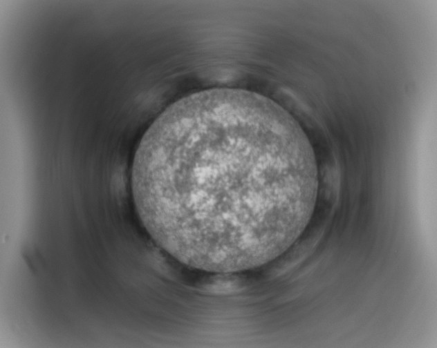 X0000113780612200910141040