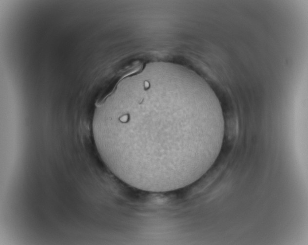 X0000113780613200910141040