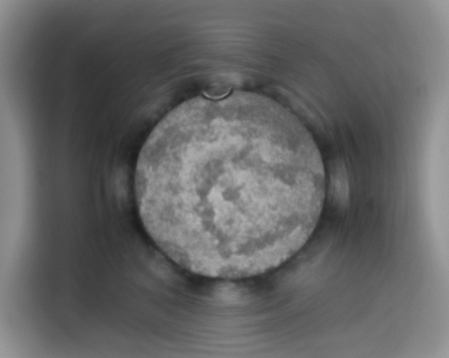 X0000113780616200910141040