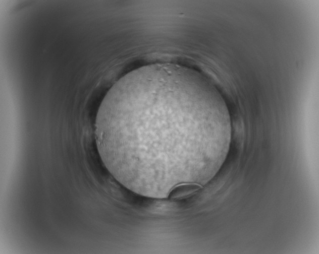 X0000113780617200910141040