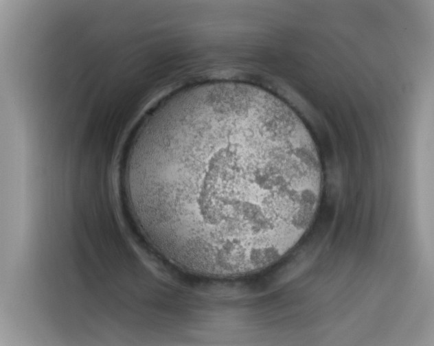 X0000113780626200910141039