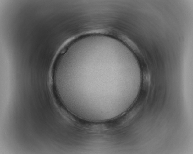 X0000113780628200910141039