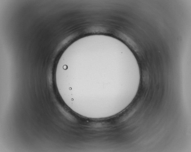 X0000113780629200910141039