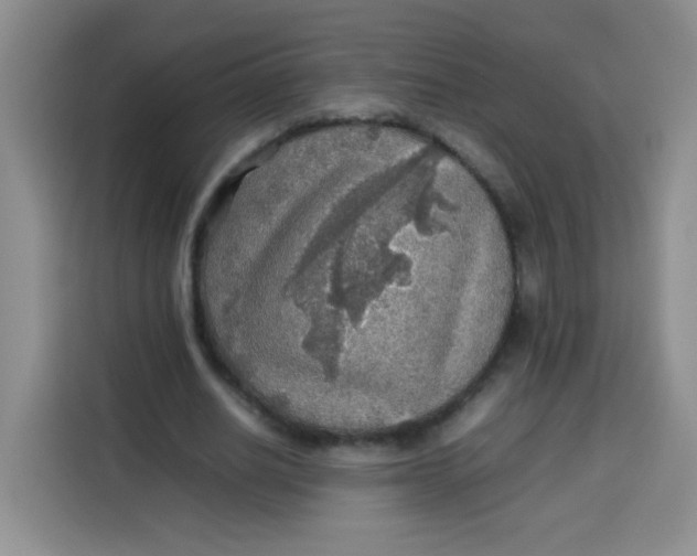 X0000113780630200910141039