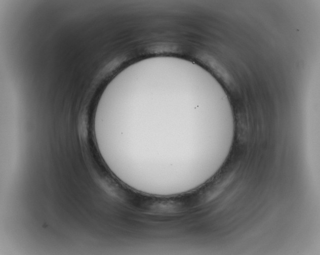 X0000113780631200910141039