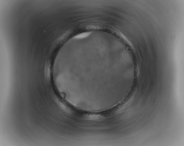 X0000113780637200910141039