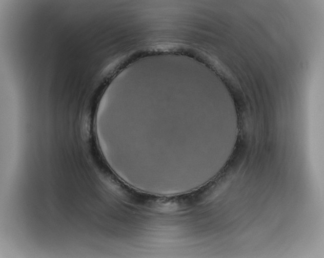 X0000113780640200910141039