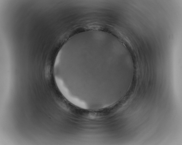 X0000113780641200910141039