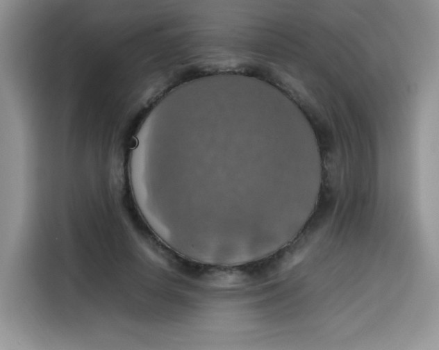 X0000113780642200910141039