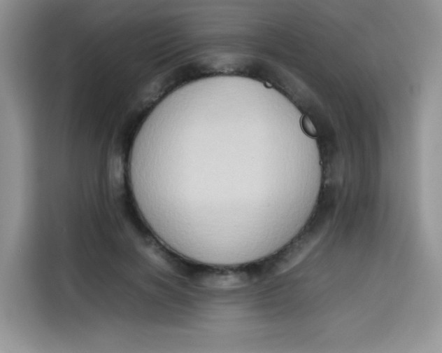 X0000113780646200910141039