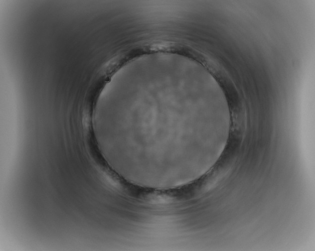 X0000113780648200910141039