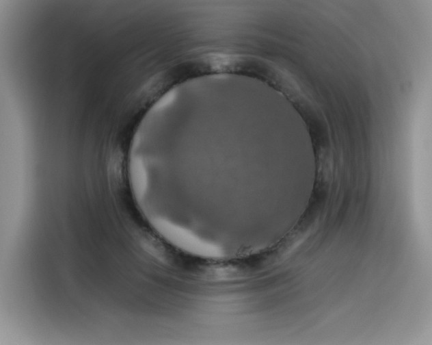 X0000113780650200910141039