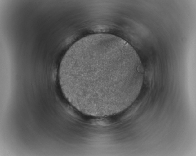 X0000113780652200910141039