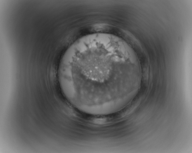 X0000113780653200910141039