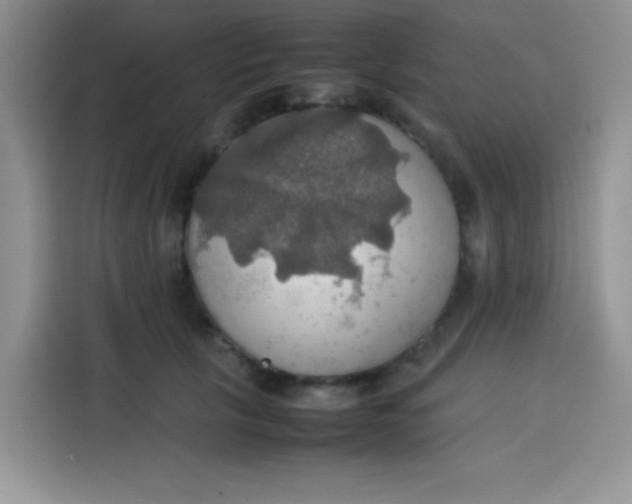 X0000113780657200910141039