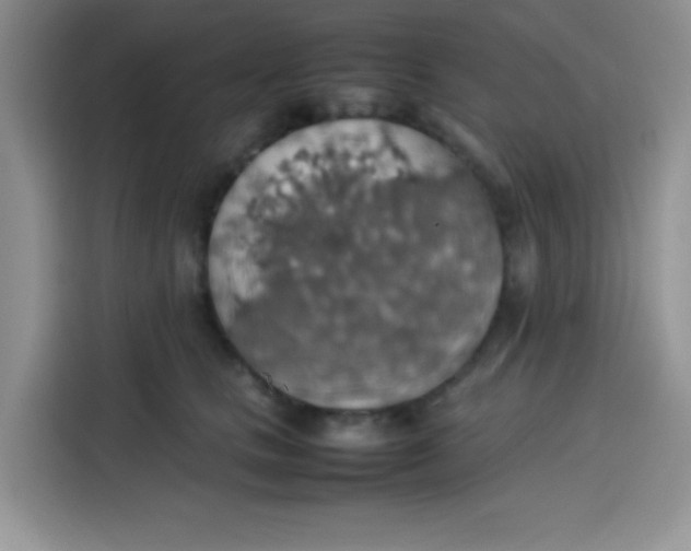 X0000113780661200910141039