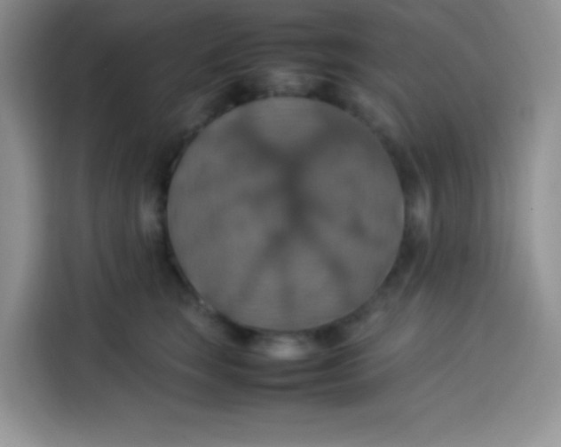 X0000113780663200910141039