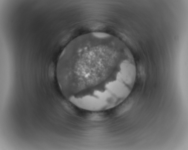 X0000113780664200910141039