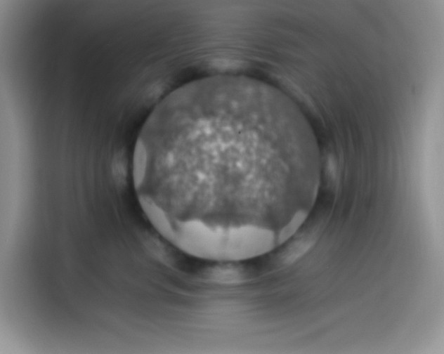 X0000113780668200910141039