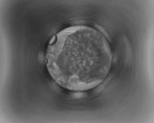 X0000113780669200910141039