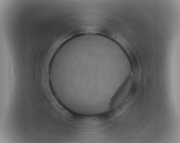 X0000113780673200910141039