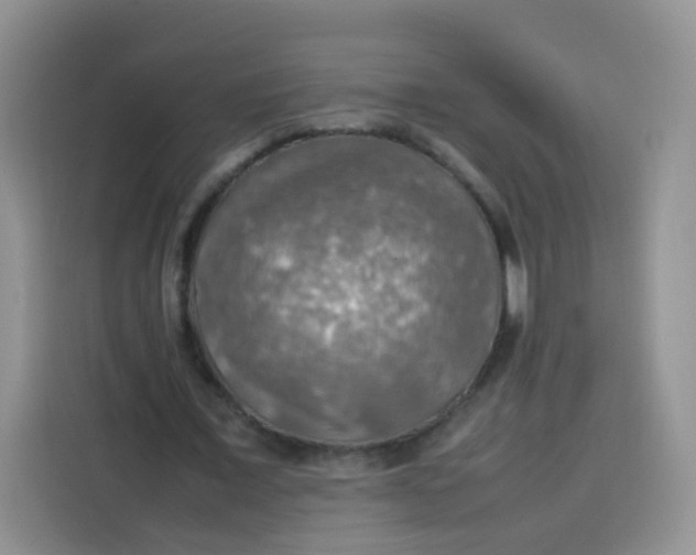 X0000113780675200910141039