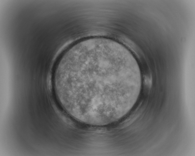 X0000113780676200910141039