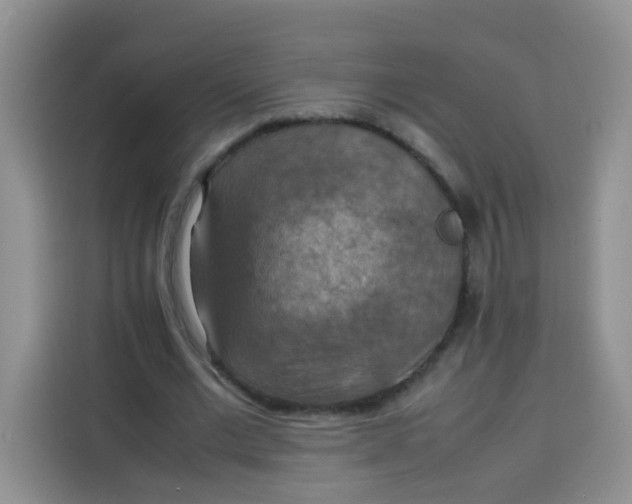 X0000113780677200910141039