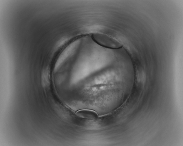 X0000113780680200910141039