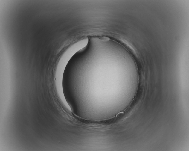 X0000113780681200910141039