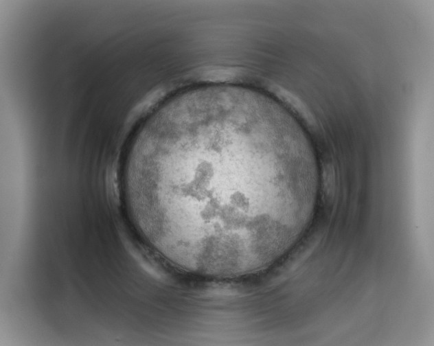 X0000113780682200910141039