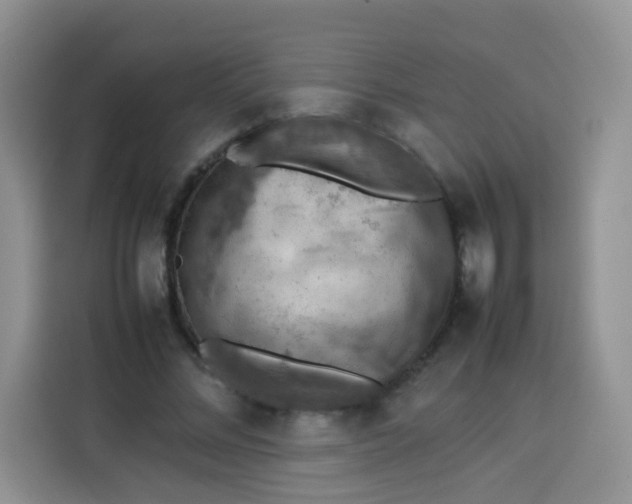 X0000113780684200910141039