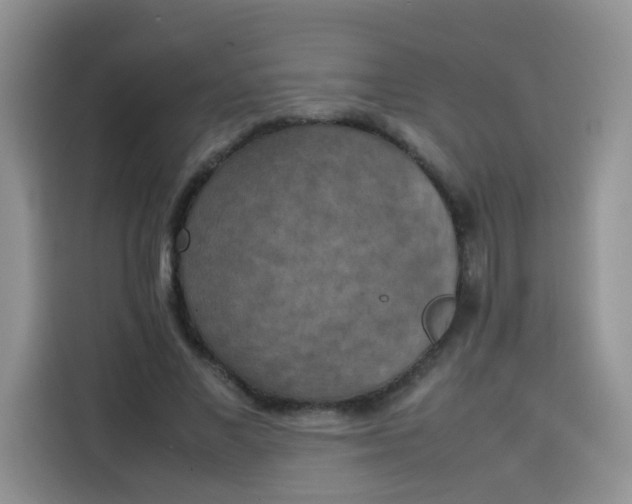 X0000113780685200910141039