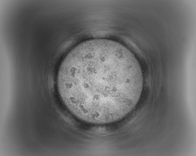 X0000113780687200910141039