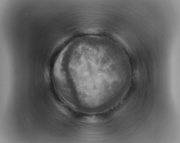 X0000113780688200910141039