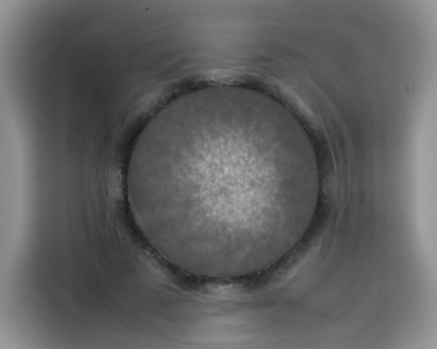 X0000113780689200910141039