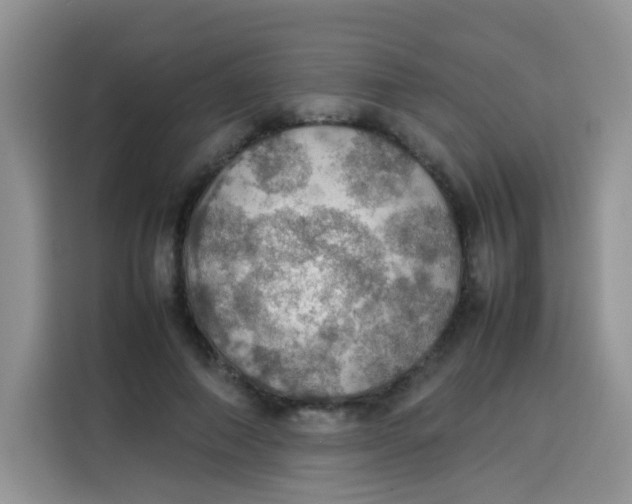 X0000113780690200910141039