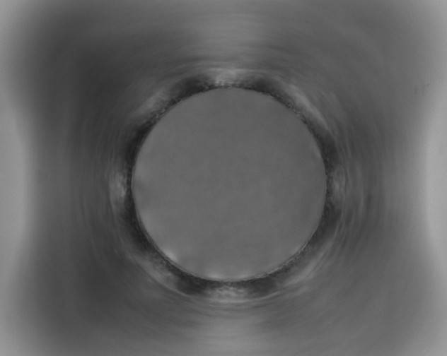 X0000113780691200910141039