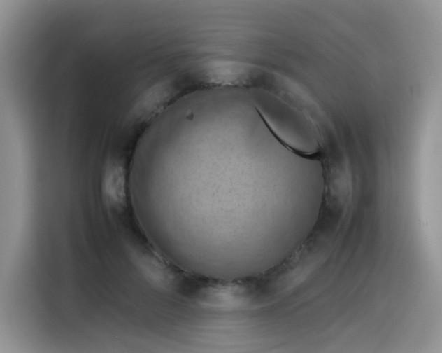 X0000113780696200910141038