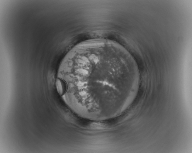 X0000113780699200910141038