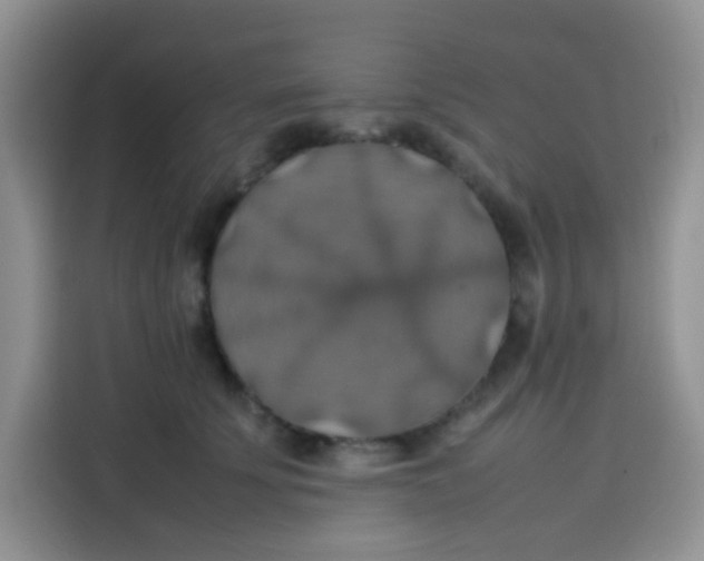 X0000113780707200910141038