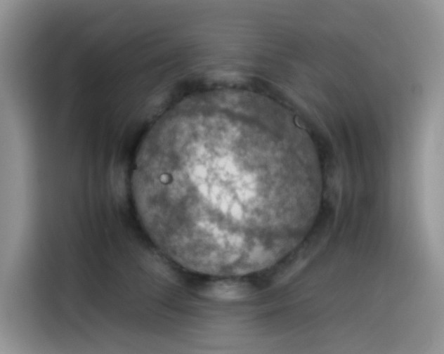 X0000113780708200910141038