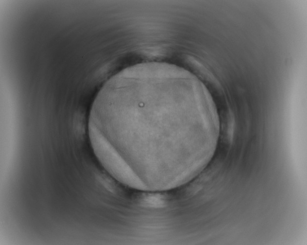 X0000113780710200910141038