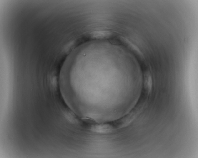 X0000113780716200910141038